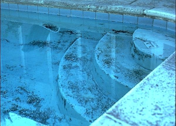 Effective Ways to Remove Swimming Pool Algae